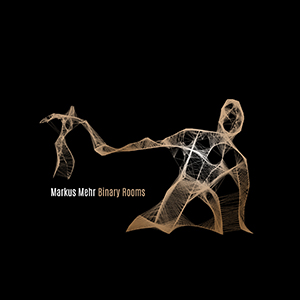 Markus Mehr - "Binary Rooms"